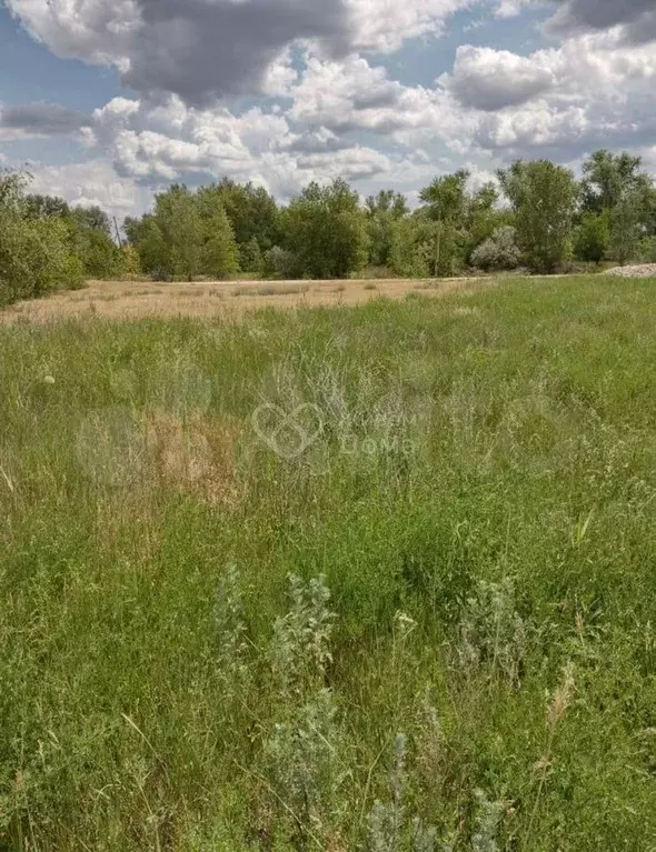 Участок 6,2 сот. (ИЖС) - Фото 1