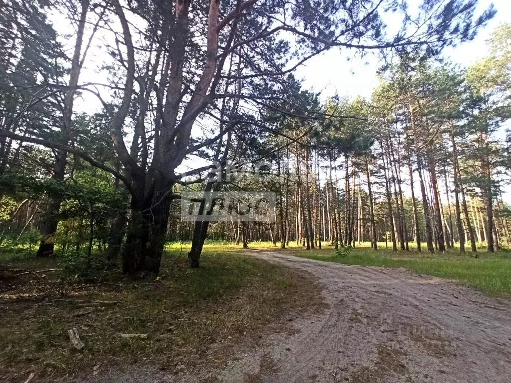 Участок в Калужская область, Перемышльский район, Корекозево с/пос, д. ... - Фото 2