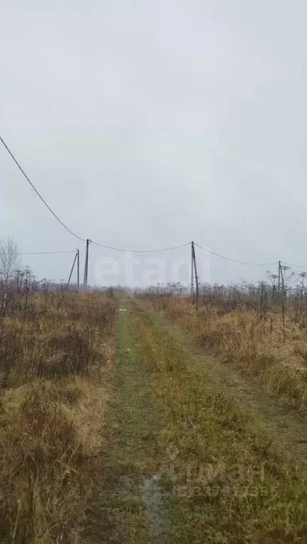 Участок в Московская область, Можайский муниципальный округ, Фисташки ... - Фото 2