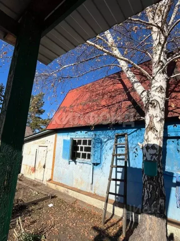 Дом в Хакасия, Абакан Зеленая ул. (21 м) - Фото 2