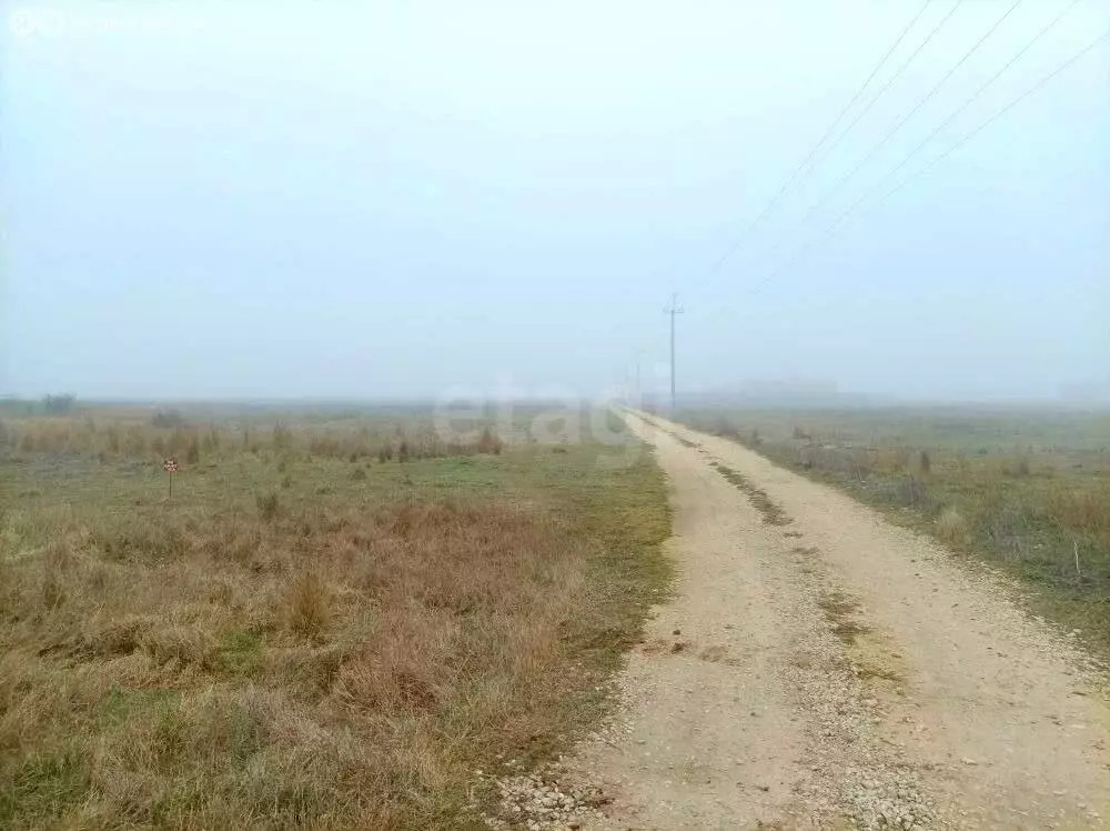 Участок в Семисотское сельское поселение, товарищество собственников ... - Фото 2