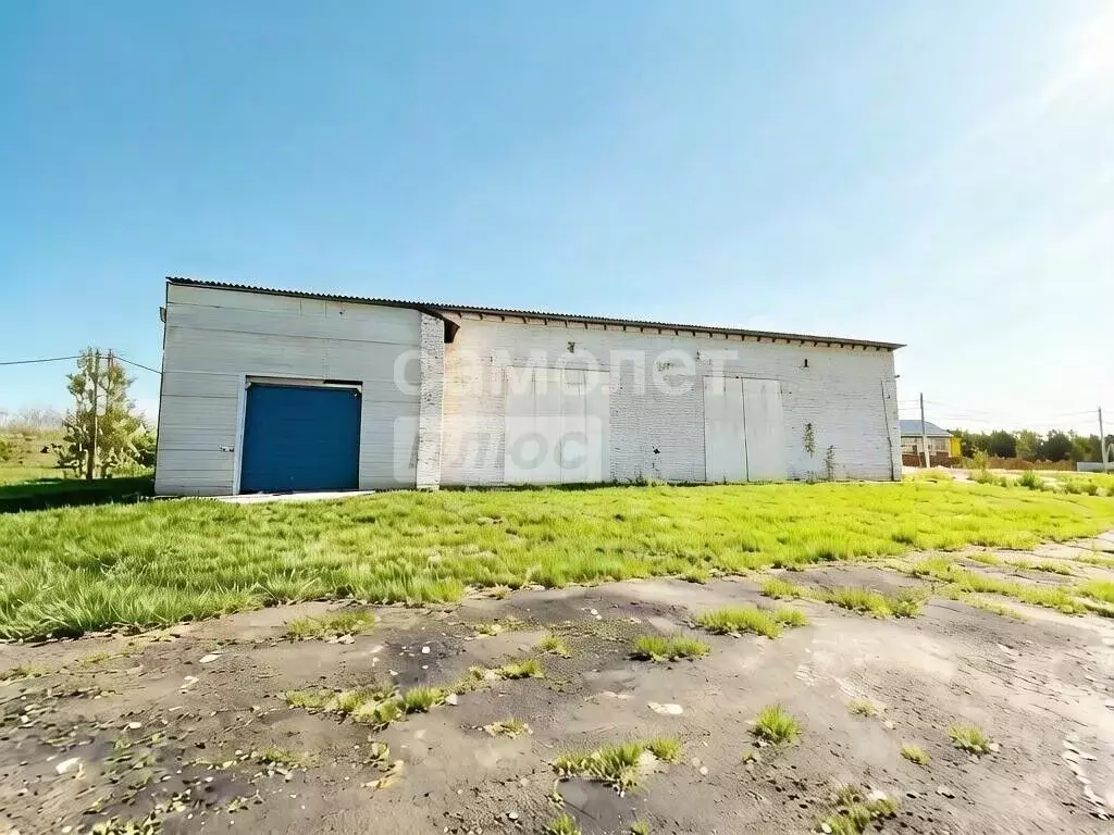 Склад в Курская область, Курск ул. 50 лет Октября, 191 (350 м) - Фото 1