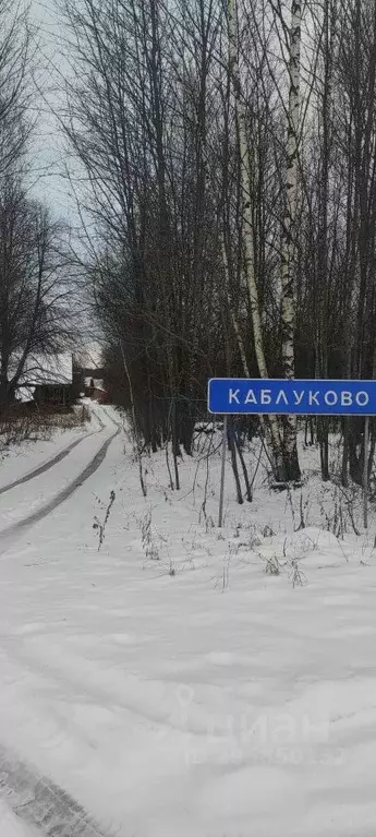 Участок в Нижегородская область, Чкаловск городской округ, д. ... - Фото 0