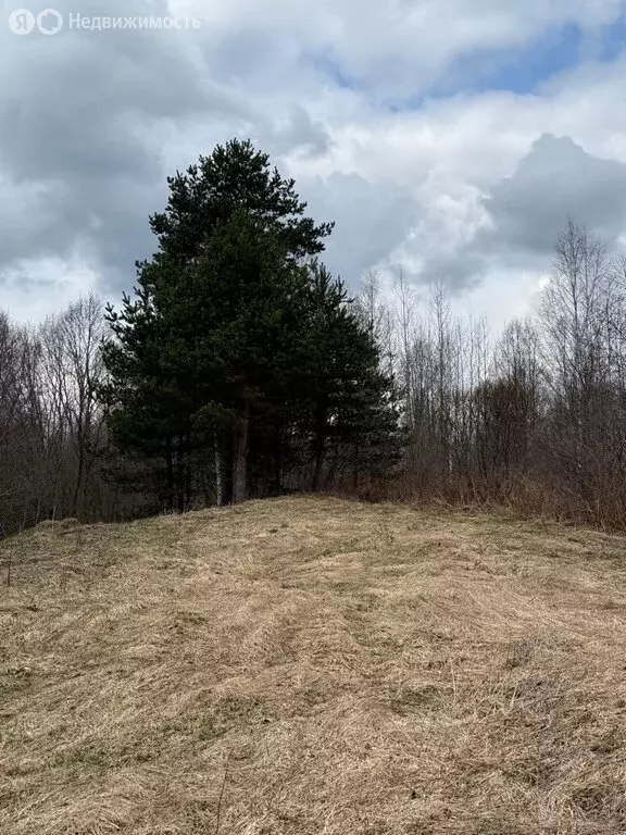 Участок в Новгородская область, Валдайский муниципальный район, ... - Фото 1
