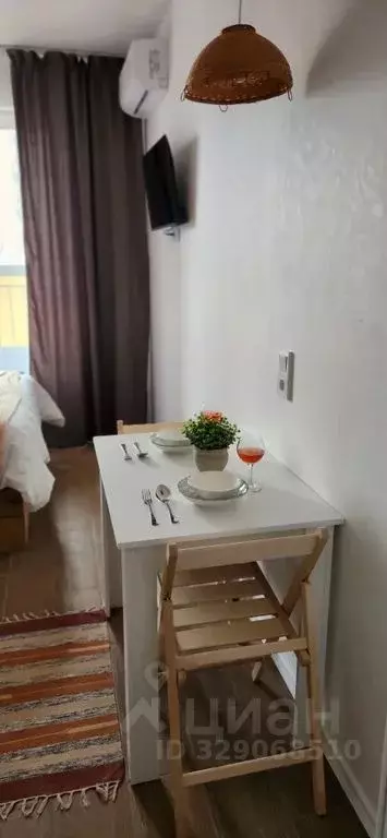 1-к кв. Московская область, Пушкино ул. Александра Меня, 3 (15.0 м) - Фото 2