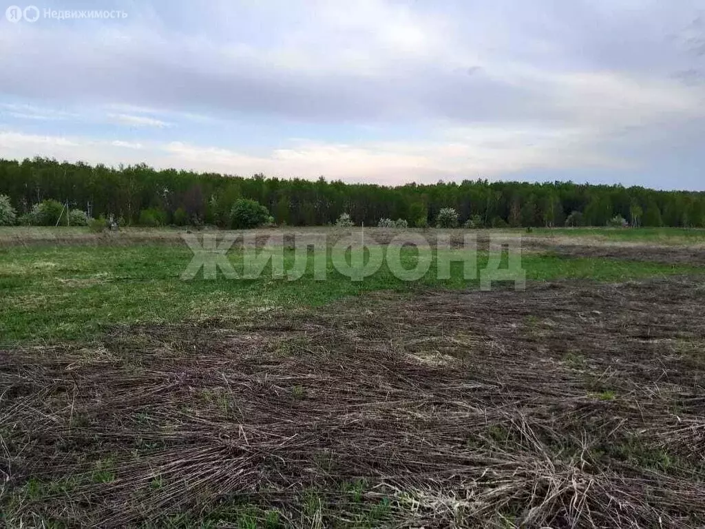 Участок в деревня Тиганово, улица Александра Миненко (25 м) - Фото 1