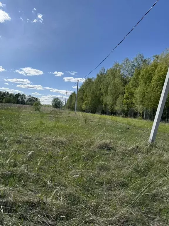 Участок 12,8 сот. (СНТ, ДНП) - Фото 1