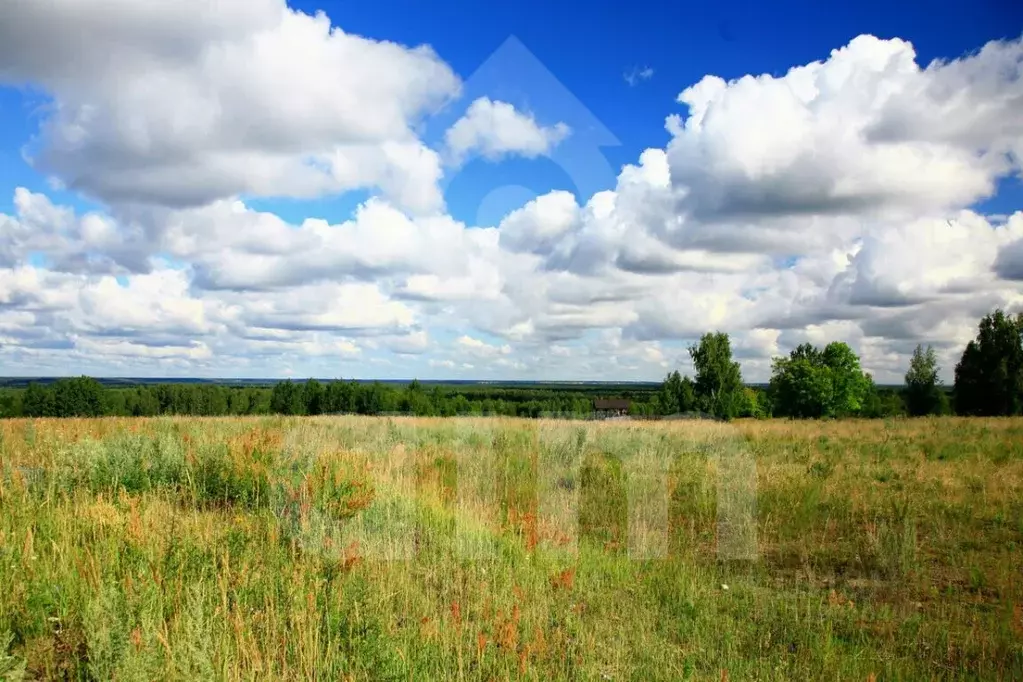 Участок в Московская область, Одинцовский городской округ, Мэдисон ... - Фото 0