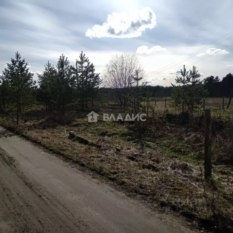 Участок в Карелия, Пудожское городское поселение, д. Кошуково  (15.0 ... - Фото 2