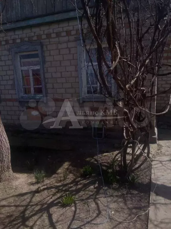 Дом 46,7 м на участке 23 сот. - Фото 1
