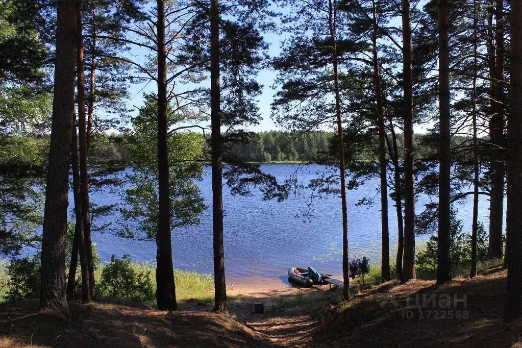 Участок в Псковская область, Гдовский район, Самолвовская волость, д. ... - Фото 0