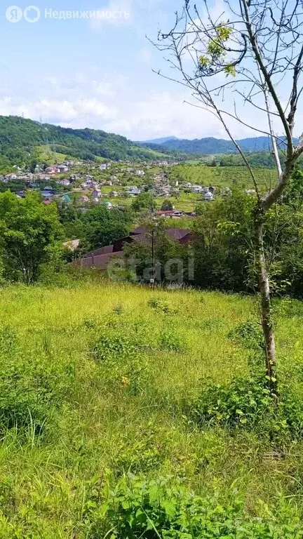 Участок в Сочи, СТ Лавр (5.1 м) - Фото 1