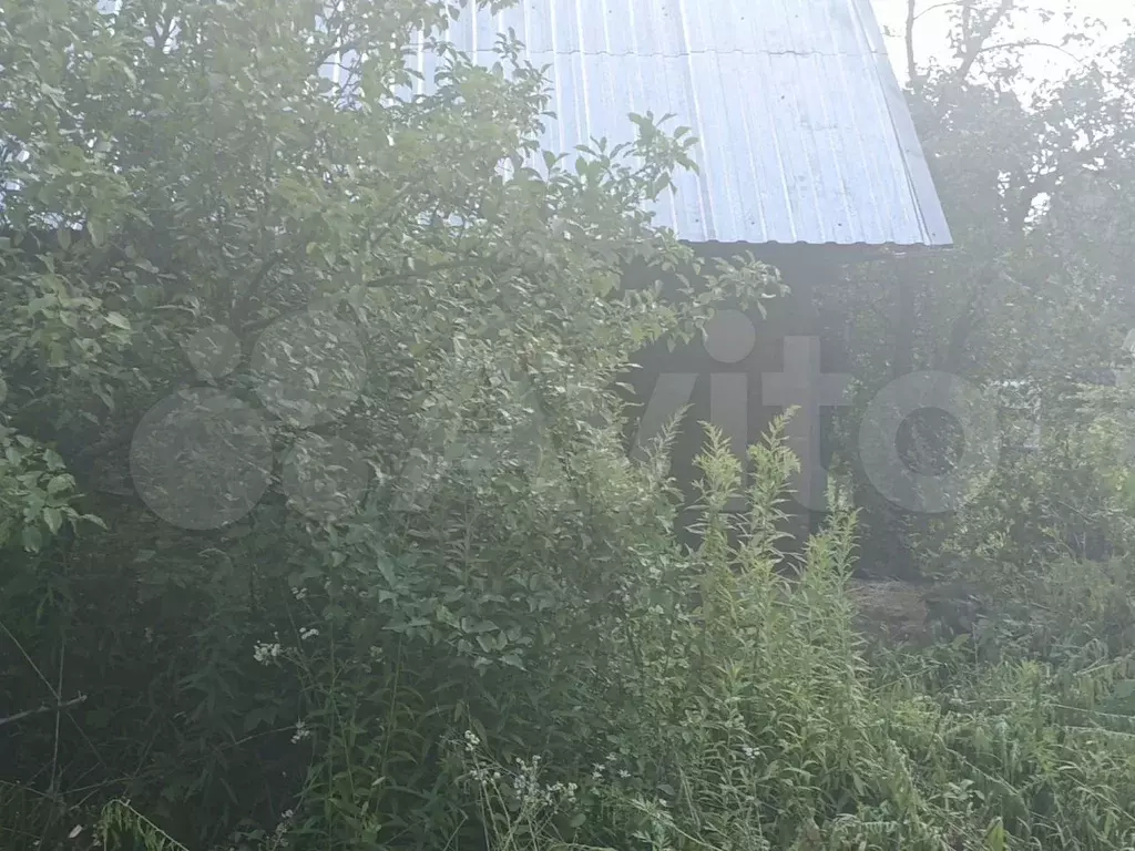 Участок 8 сот. (СНТ, ДНП) - Фото 1