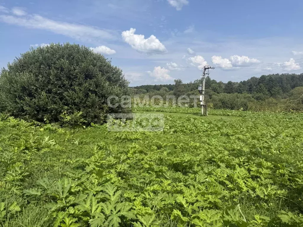 Участок в Калужская область, Малоярославецкий район, Недельное с/пос, ... - Фото 2