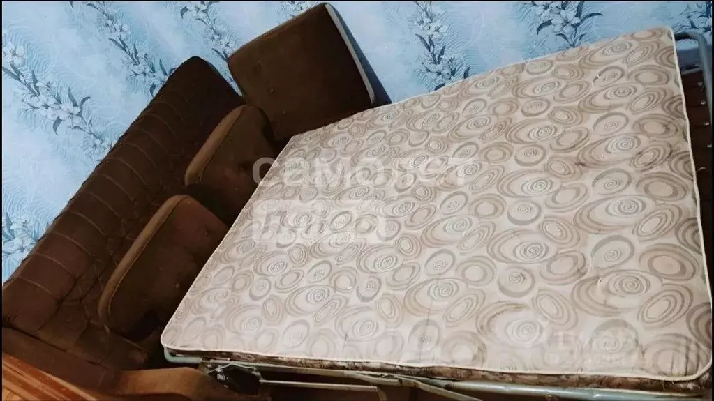 Студия Липецкая область, Липецк ул. Циолковского, 4/2 (20.0 м) - Фото 1