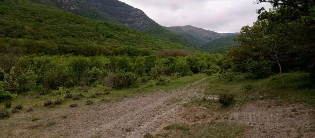 Участок в Крым, Судак муниципальный округ, с. Дачное ул. Десантная ... - Фото 1