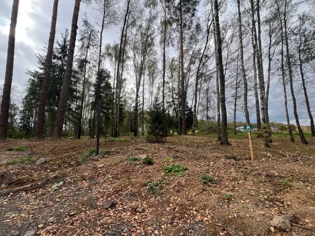 Участок в Московская область, Чехов муниципальный округ, д. Слепушкино ... - Фото 1