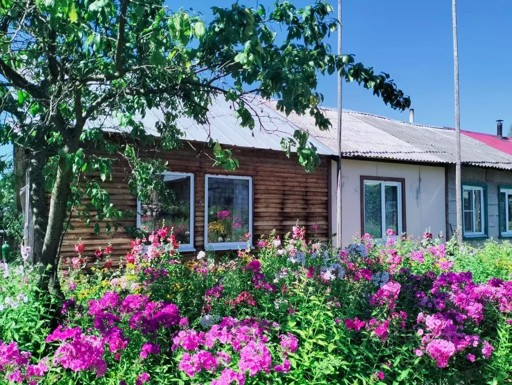 1-к кв. Тверская область, Калининский муниципальный округ, с. Бурашево ... - Фото 1