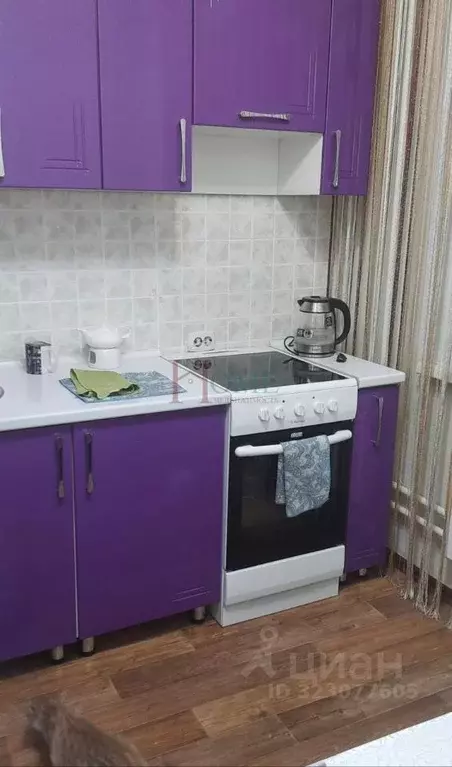 1-к кв. Новосибирская область, Новосибирск Родники мкр, ул. ... - Фото 2