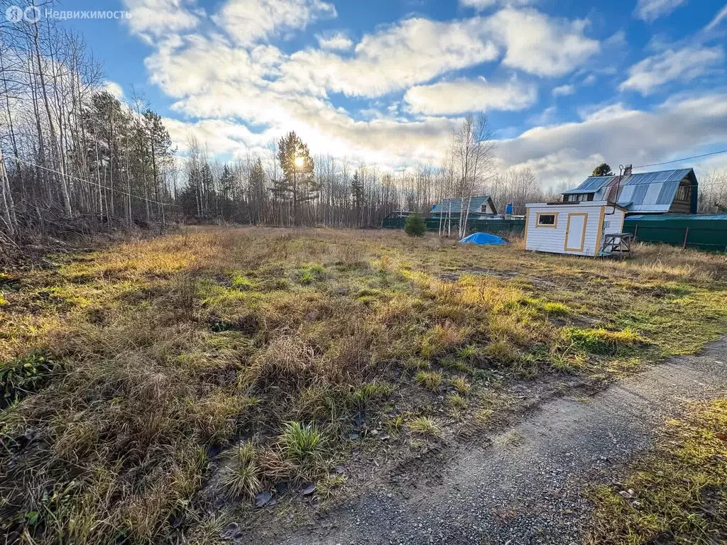 Участок в Заозерское сельское поселение, садоводческое некоммерческое ... - Фото 2