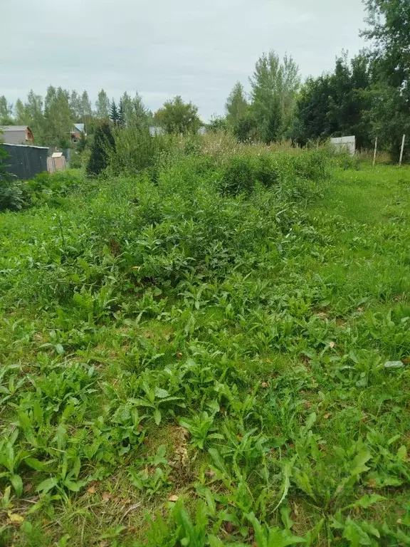 Участок в Московская область, Клин городской округ, д. Иевлево  (5.6 ... - Фото 2