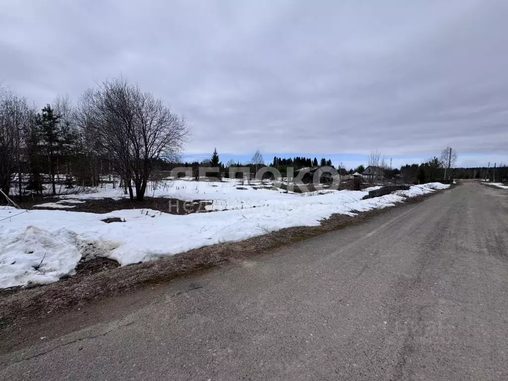 Участок в Пермский край, Березники муниципальный округ, д. Белая Пашня ... - Фото 2