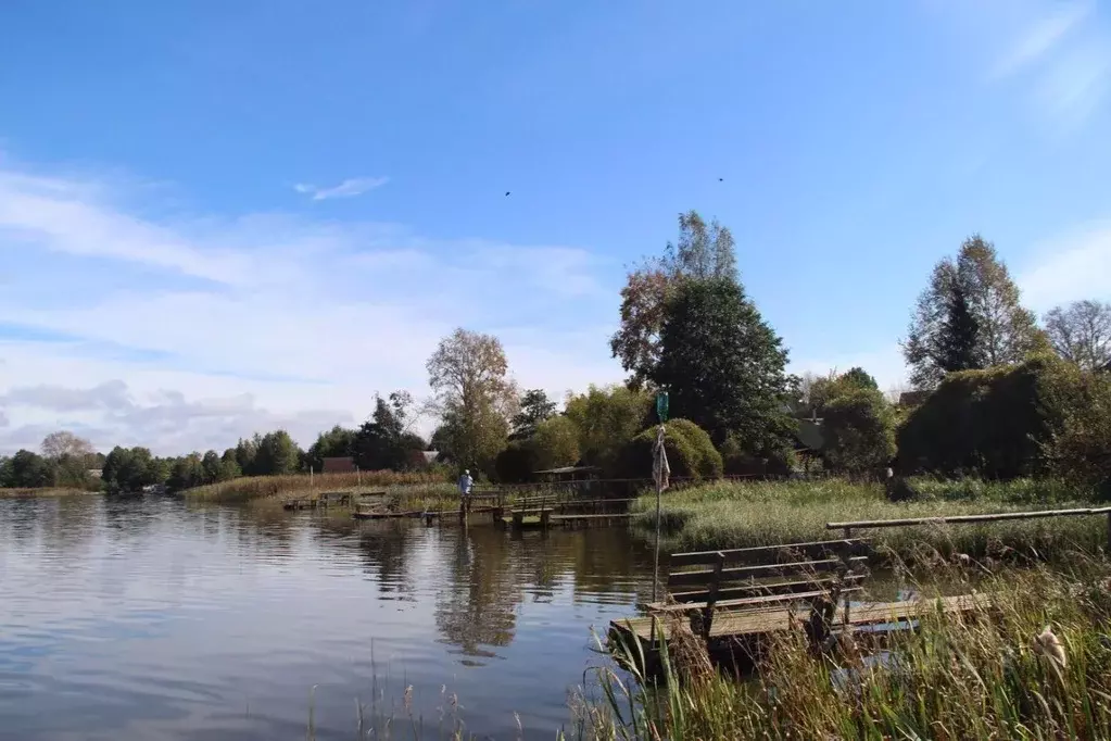 Участок в Ленинградская область, Лужский район, Волошовское с/пос, д. ... - Фото 1