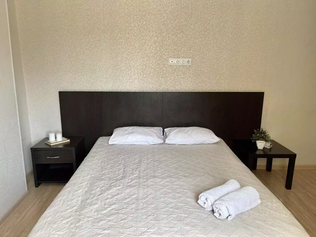 1-к кв. Новосибирская область, Новосибирск ул. Ленина, 53 (20.0 м) - Фото 1