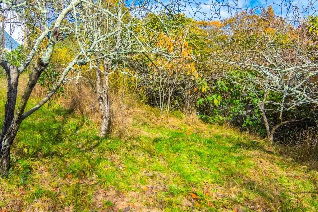 Участок в Краснодарский край, Сочи городской округ, с. Бестужевское ... - Фото 0