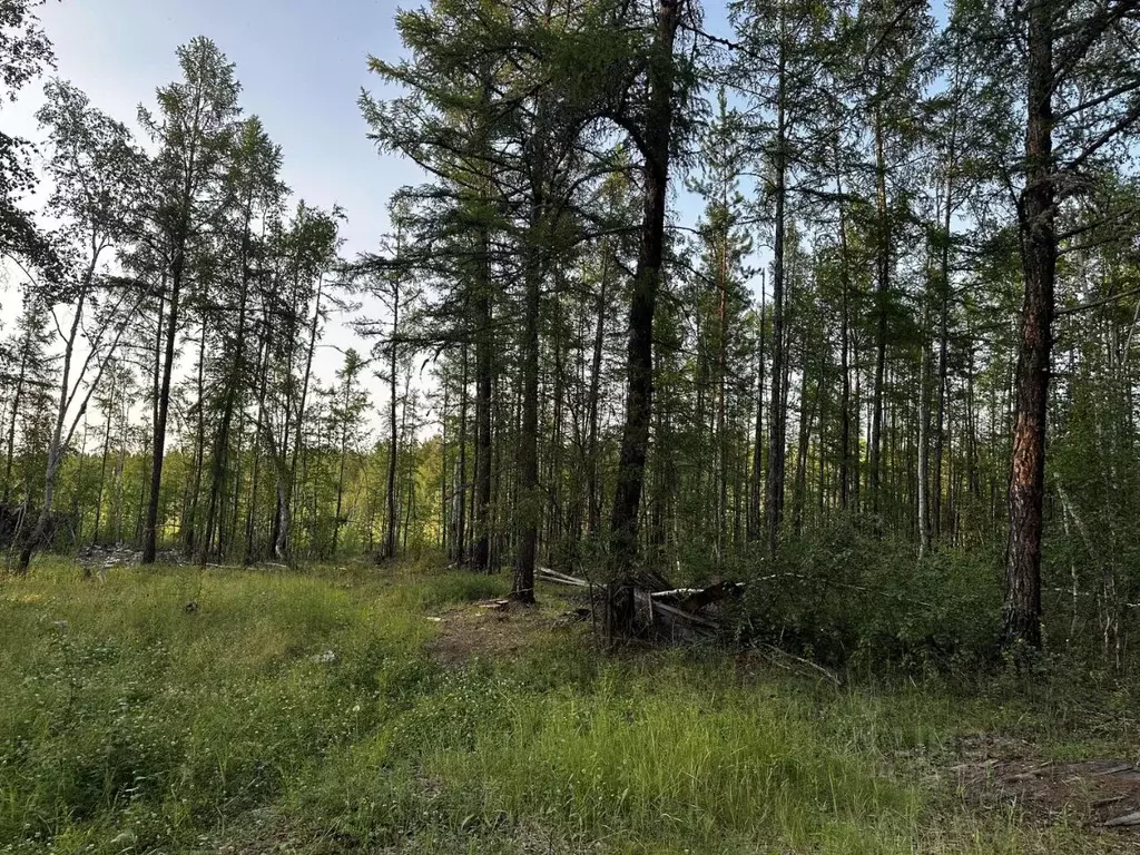 Участок в Саха (Якутия), Якутск городской округ, с. Маган  (12.0 сот.) - Фото 2