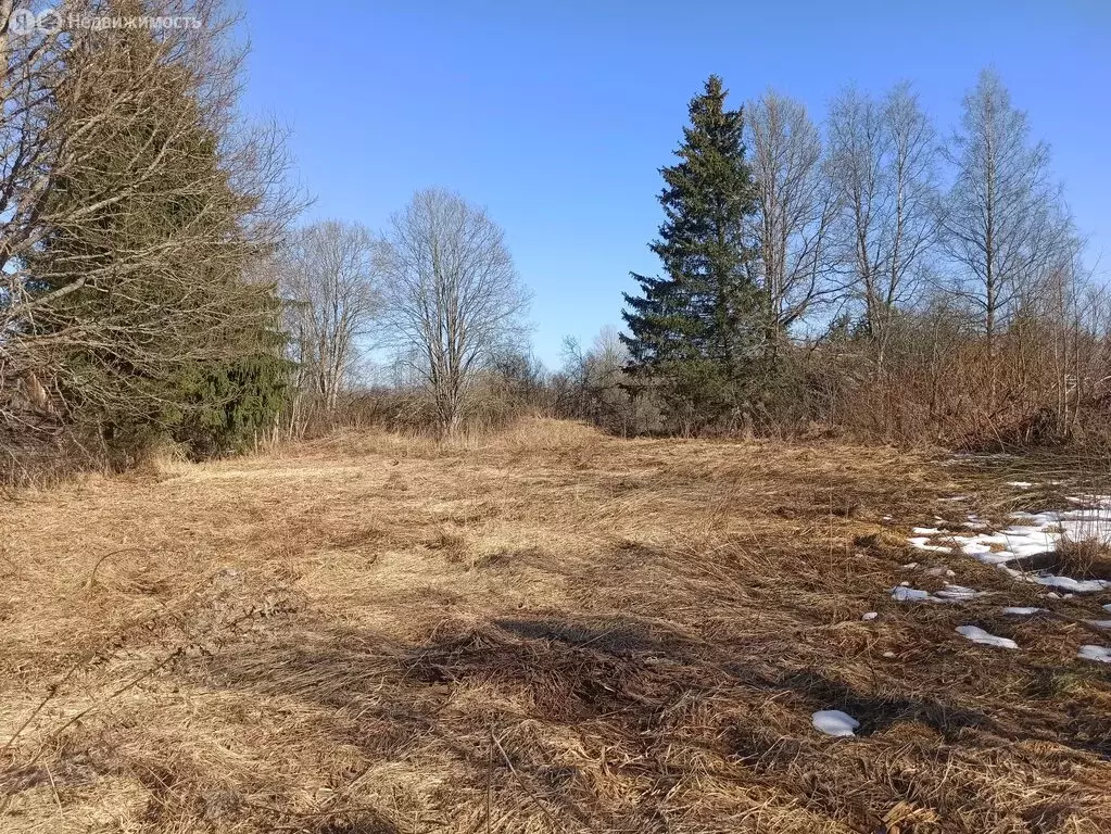 Участок в Толмачёвское городское поселение (20 м) - Фото 2