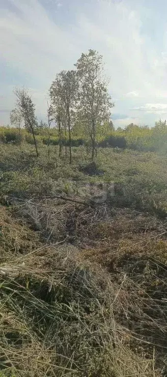Участок в Тюменская область, Нижнетавдинский муниципальный округ, ... - Фото 1