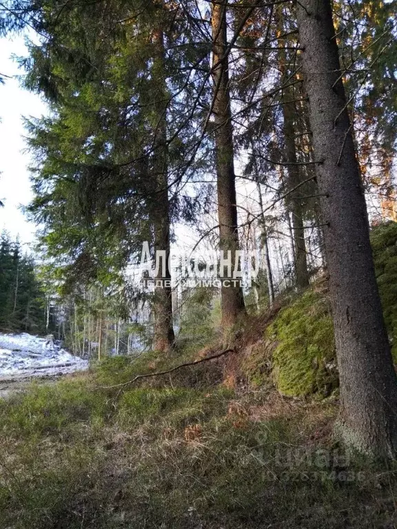 Дом в Карелия, Лахденпохья пос. Хуухканмяки,  (34 м) - Фото 1