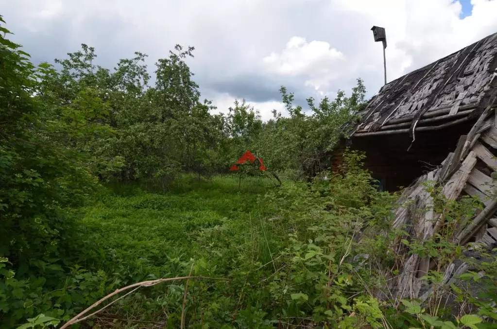 Участок в Владимирская область, Кольчугинский район, Флорищинское ... - Фото 1