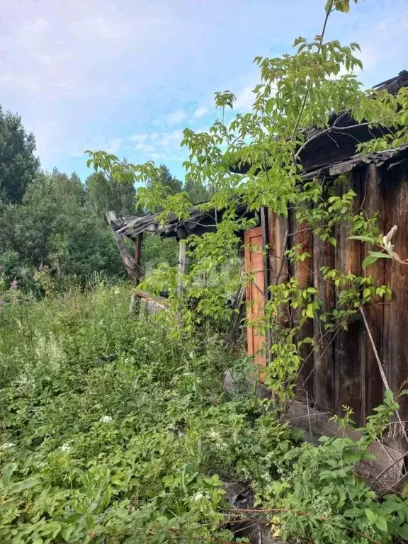 Участок в Свердловская область, Тугулымский городской округ, пос. ... - Фото 0