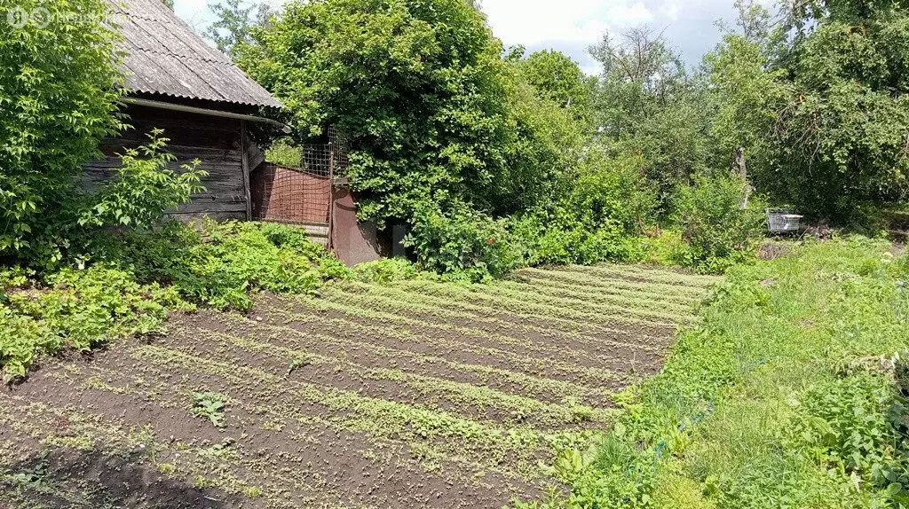 Участок в Тула, улица Карла Либкнехта, 38 (7.8 м) - Фото 0