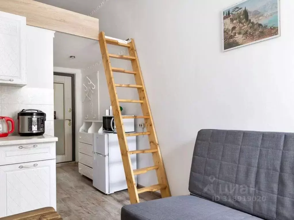 1-к кв. Санкт-Петербург Боровая ул., 26-28 (16.0 м) - Фото 1