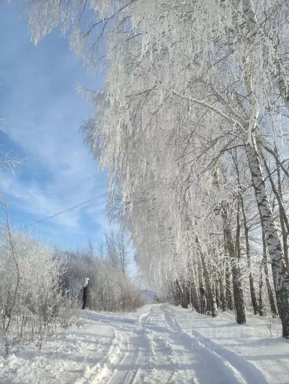 Дом в Башкортостан, Кармаскалинский район, Кабаковский сельсовет, ... - Фото 2