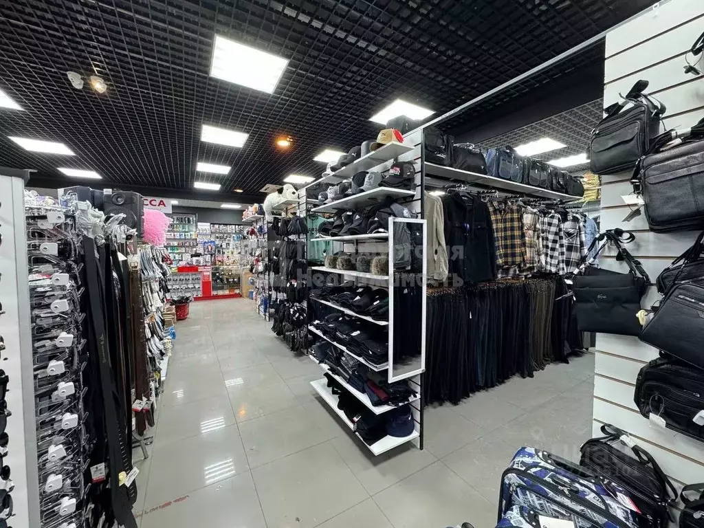 Помещение свободного назначения в Санкт-Петербург Московский просп., ... - Фото 1