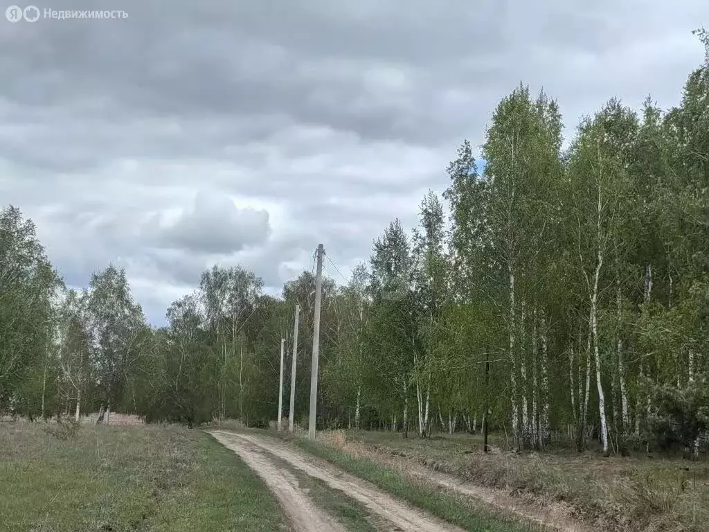Участок в Быстровский сельсовет, посёлок Тула (21 м) - Фото 2