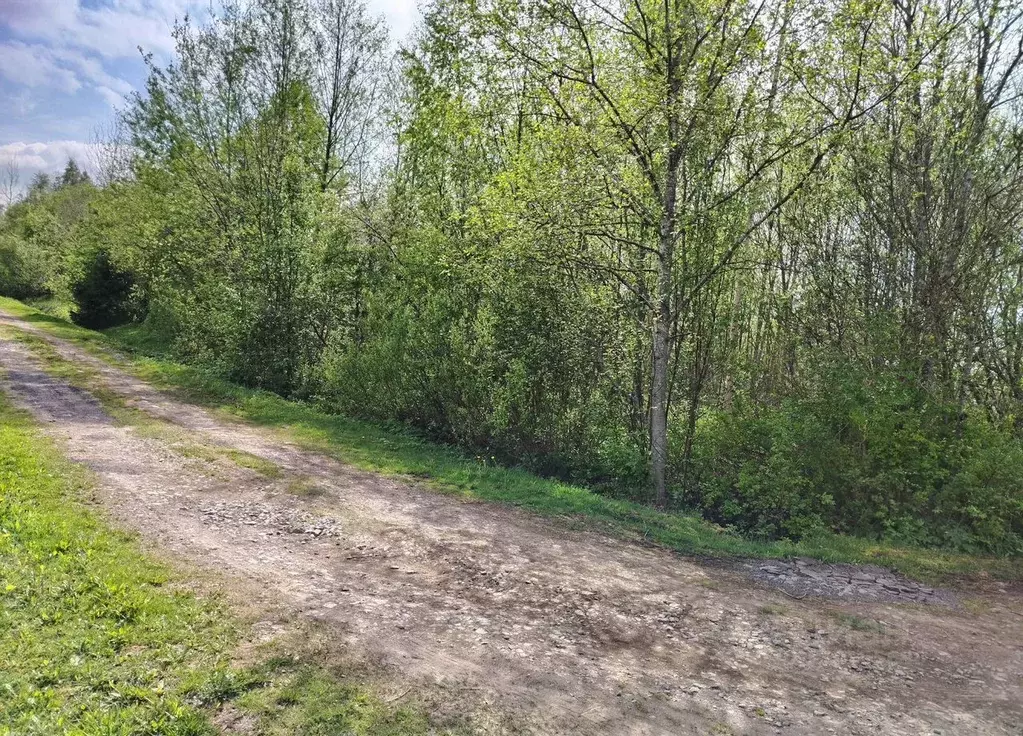 Участок в Ленинградская область, Кировский район, Назиевское городское ... - Фото 2