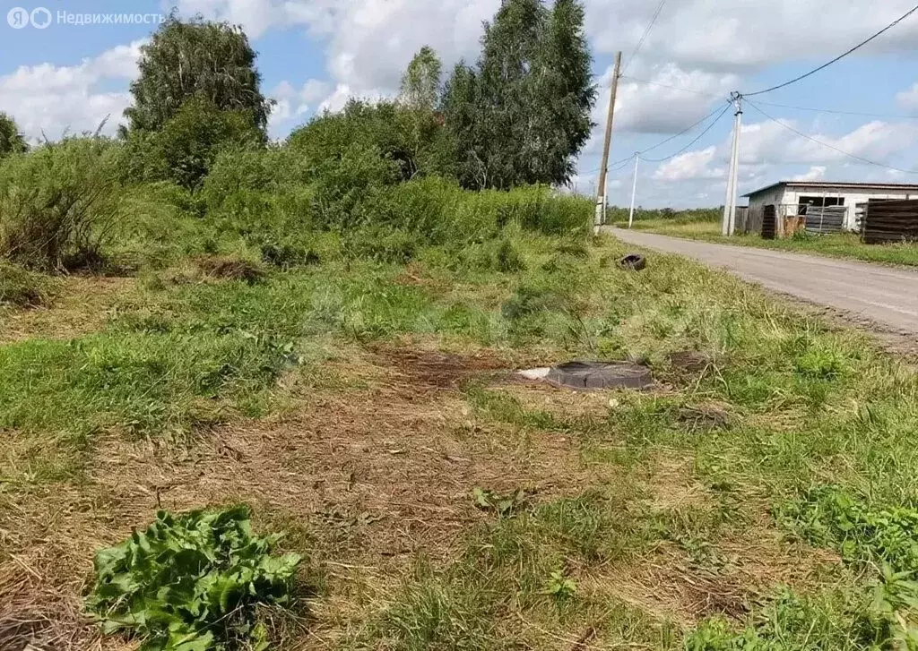 Участок в Курганская область, село Кетово (10 м) - Фото 2