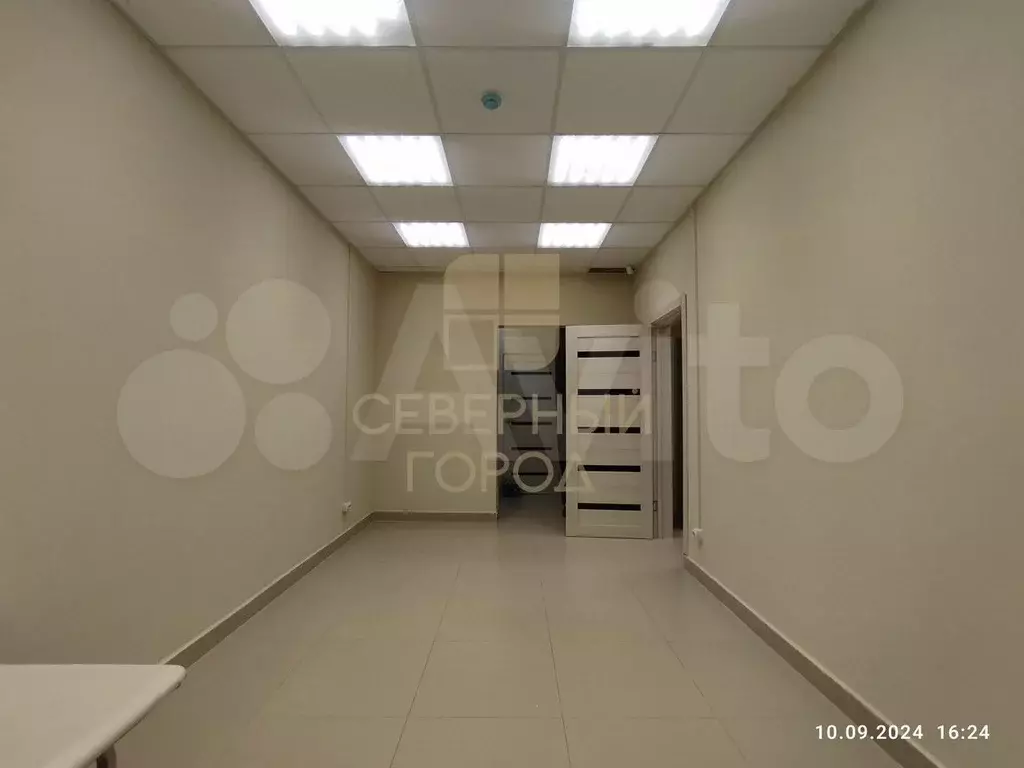 Сдам помещение свободного назначения, 16.6 м - Фото 0