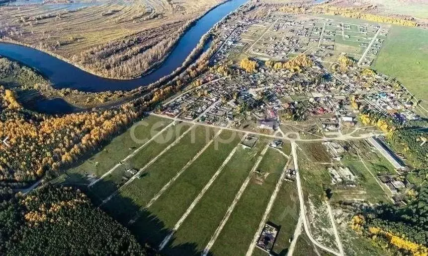 Участок в Тюменская область, Тюменский район, д. Криводанова  (10.43 ... - Фото 1