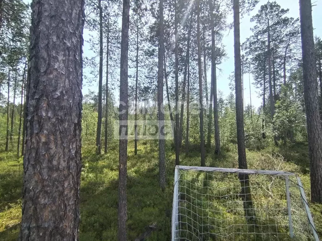 Участок в Ханты-Мансийский АО, Сургутского муниципального района тер., ... - Фото 1