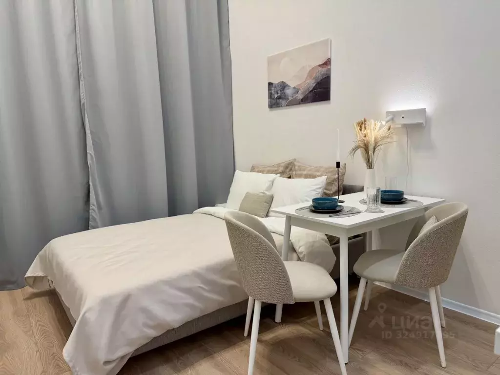 Студия Москва ул. Трехполье, 6к1 (20.0 м) - Фото 2