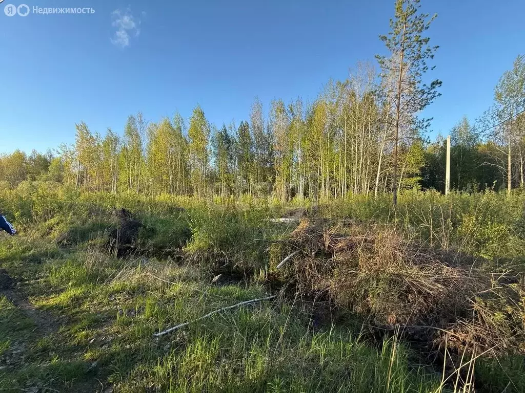 Участок в Тюменская область, Тобольский муниципальный округ, ... - Фото 2