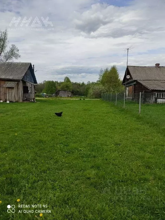 Участок в Нижегородская область, Сокольский городской округ, д. ... - Фото 1