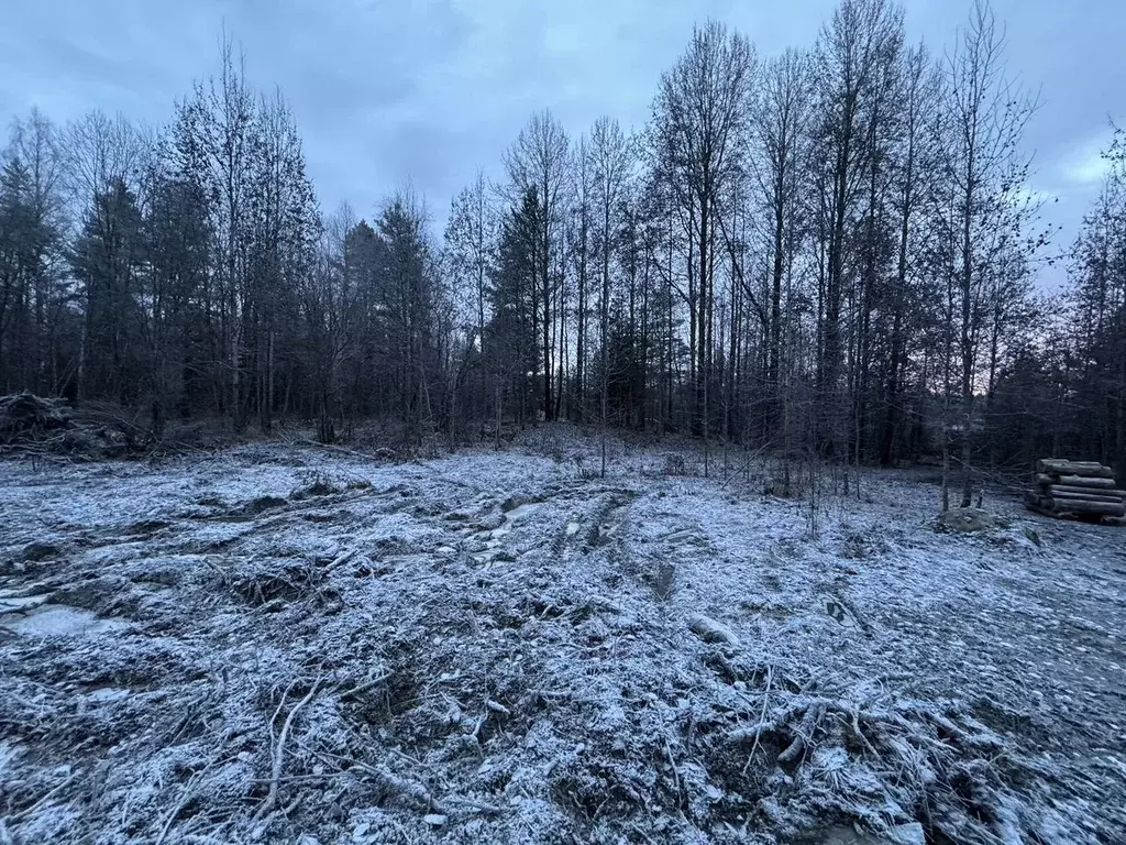 Участок в Ленинградская область, Приозерский район, Кузнечное пгт ... - Фото 2