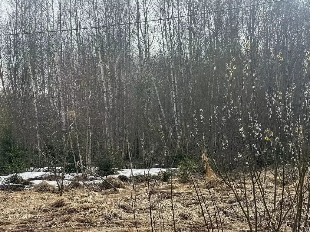 Участок в Московская область, Рузский муниципальный округ, д. Лобково  ... - Фото 1